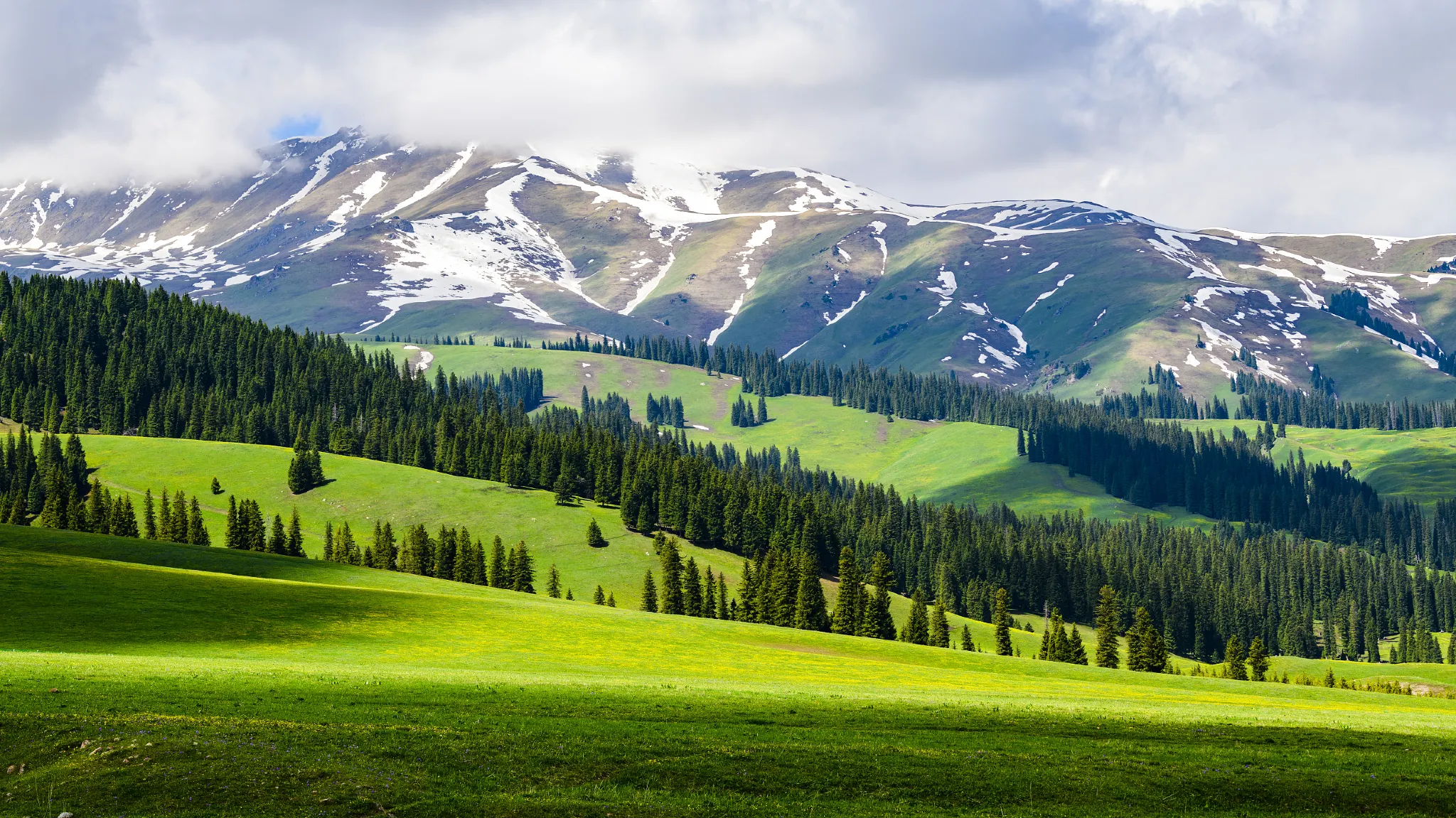 草原与远山云影